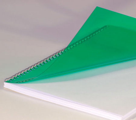 Renz Folien Deckblätter, DIN A4, grün, 0,20 mm, VE 100 Stück