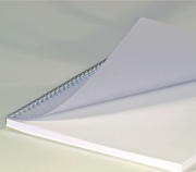 Renz Folien Deckblätter, DIN A4, matt, 0,20 mm, VE 100 Stück