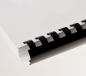 Preview: Renz Plastikbinderücken 16 mm, US-Teilung , 21 Ringe, schwarz, VE 100 Stück