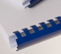 Preview: Renz Plastikbinderücken 12 mm, US-Teilung , 21 Ringe, blau, VE 100 Stück